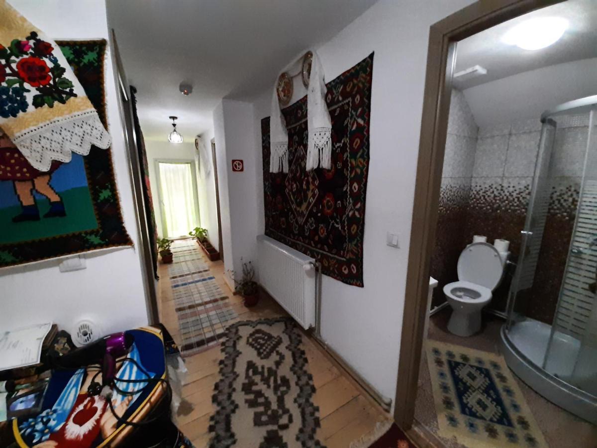 Apartament Casa Pintea De Sub Coasta Breb Zewnętrze zdjęcie